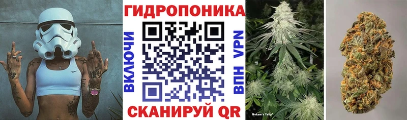 Где купить наркотики Грозный COCAIN Марихуана МЕФ блэк спрут маркетплейс ГАШ Alpha PVP