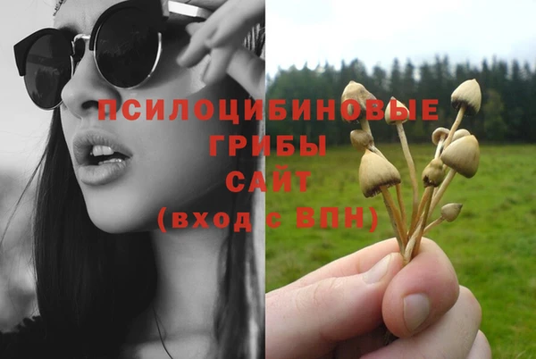 каннабис Новодвинск