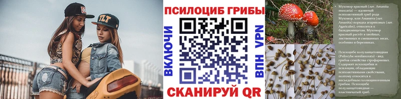 Псилоцибиновые грибы MAGIC MUSHROOMS  Грозный 