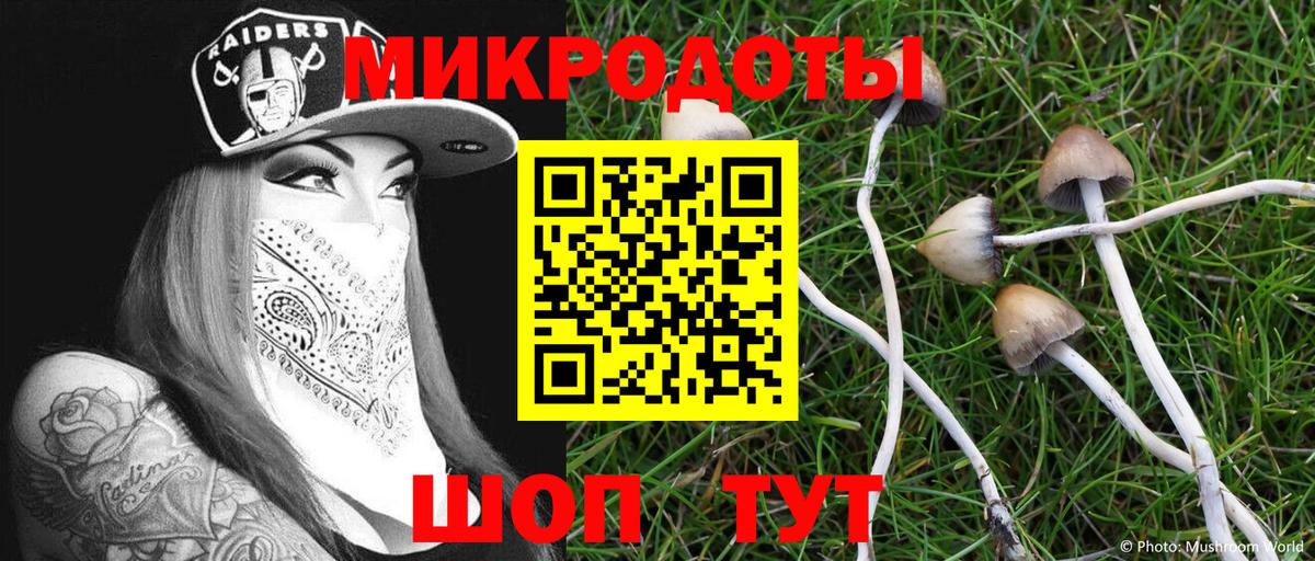 Псилоцибиновые грибы GOLDEN TEACHER  цена наркотик  Галлюциногенные грибы GOLDEN TEACHER  Грозный  Вход с VPN 